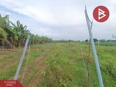 ขายที่ดิน เนื้อที่ 1 ไร่ ต.บ้านยาง นครปฐม ใกล้กรุงเทพฯ เดินทางสะดวก-202510291511501761725510951.jpg