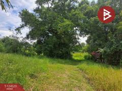 ขายที่ดินแปลงใหญ่ เนื้อที่ 44 ไร่ 2 งาน หนองฉาง อุทัยธานี-202510291511511761725511878.jpg