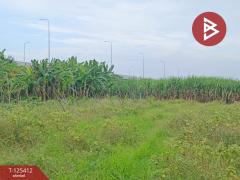 ขายที่ดินแปลงใหญ่ เนื้อที่ 44 ไร่ 2 งาน หนองฉาง อุทัยธานี-202510291511541761725514043.jpg