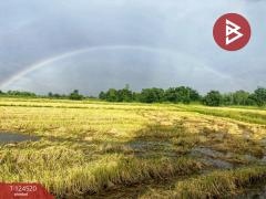 ขายที่ดินแปลงใหญ่ เนื้อที่ 44 ไร่ 2 งาน หนองฉาง อุทัยธานี-202510291511541761725514618.jpg