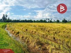 ขายที่ดินแปลงใหญ่ เนื้อที่ 44 ไร่ 2 งาน หนองฉาง อุทัยธานี-202510291511561761725516940.jpg