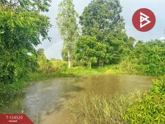 ขายที่ดินแปลงใหญ่ เนื้อที่ 44 ไร่ 2 งาน หนองฉาง อุทัยธานี-202510291511571761725517809.jpg