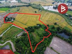 ขายที่ดินแปลงใหญ่ เนื้อที่ 44 ไร่ 2 งาน หนองฉาง อุทัยธานี-202510291511581761725518485.jpg