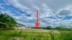 ขายถูก ที่ดินถมแล้ว ตั้งอยู่อ่างเก็บน้ำบางพระ ใกล้มอเตอร์เวย์กรุงเทพ-พัทยา เดินทางสะดวกเข้า-ออกได้หลากหลายทาง ใกล้นิคมอุตสาหกรรมและท่าเรือน้ำลึกแหลมฉบัง สถานที่ท่องเที่ยวมากมาย