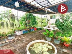 ขายบ้านเดี่ยวพร้อมที่ดิน 208 ตารางวา พระสมุทรเจดีย์ สมุทรปราการ-202510291552091761727929291.jpg