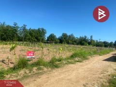 ขายที่ดิน เนื้อที่ 1 ไร่ 1 งาน 66.3 ตารางวา ต.ไม้งาม ตาก แบ่งขายเป็นแปลง