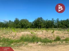 ขายที่ดิน เนื้อที่ 1 ไร่ 1 งาน 66.3 ตารางวา ต.ไม้งาม ตาก แบ่งขายเป็นแปลง-202510291600101761728410184.jpg