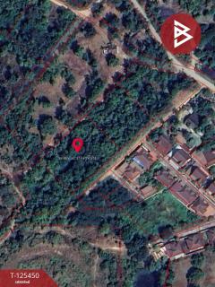 ขายที่ดิน เนื้อที่ 1 ไร่ 1 งาน 66.3 ตารางวา ต.ไม้งาม ตาก แบ่งขายเป็นแปลง-202510291600121761728412372.jpg