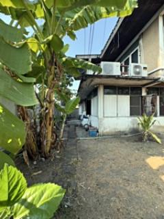 ให้เช่าบ้านเดี่ยว 2 ชั้น พร้อมที่ดิน ซอยสุขุมวิท 97/1 ถนนสุขุมวิท (N.1543)-202510291604451761728685968.jpg