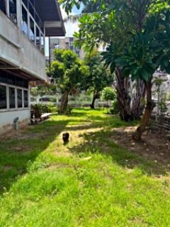 ให้เช่าบ้านเดี่ยว 2 ชั้น พร้อมที่ดิน ซอยสุขุมวิท 97/1 ถนนสุขุมวิท (N.1543)-202510291604471761728687838.jpg