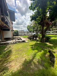 ให้เช่าบ้านเดี่ยว 2 ชั้น พร้อมที่ดิน ซอยสุขุมวิท 97/1 ถนนสุขุมวิท (N.1543)-202510291604491761728689272.jpg