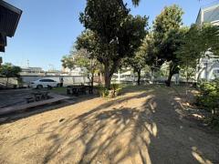 ให้เช่าบ้านเดี่ยว 2 ชั้น พร้อมที่ดิน ซอยสุขุมวิท 97/1 ถนนสุขุมวิท (N.1543)-202510291604531761728693106.jpg