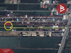 ขายที่ดิน เนื้อที่ 200 ตารางวา ซอยฉลองกรุง 5  เขตลาดกระบัง กรุงเทพมหานคร-202510291619361761729576413.jpg