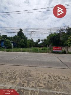 ขายที่ดิน เนื้อที่ 3 งาน 21 ตร.วา ชะอำ เพชรบุรี-202510291653311761731611876.jpg