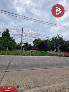 ขายที่ดิน เนื้อที่ 3 งาน 21 ตร.วา ชะอำ เพชรบุรี-202510291653321761731612412.jpg