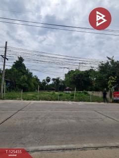 ขายที่ดิน เนื้อที่ 3 งาน 21 ตร.วา ชะอำ เพชรบุรี-202510291653321761731612943.jpg