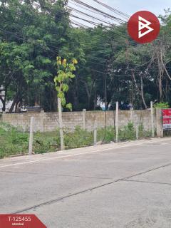 ขายที่ดิน เนื้อที่ 3 งาน 21 ตร.วา ชะอำ เพชรบุรี-202510291653331761731613469.jpg