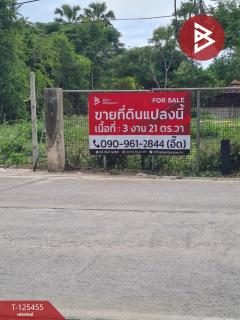 ขายที่ดิน เนื้อที่ 3 งาน 21 ตร.วา ชะอำ เพชรบุรี-202510291653341761731614023.jpg