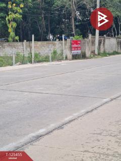 ขายที่ดิน เนื้อที่ 3 งาน 21 ตร.วา ชะอำ เพชรบุรี-202510291653341761731614578.jpg