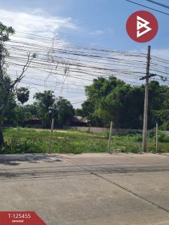 ขายที่ดิน เนื้อที่ 3 งาน 21 ตร.วา ชะอำ เพชรบุรี-202510291653361761731616142.jpg