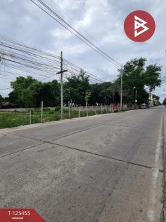 ขายที่ดิน เนื้อที่ 3 งาน 21 ตร.วา ชะอำ เพชรบุรี-202510291653371761731617175.jpg