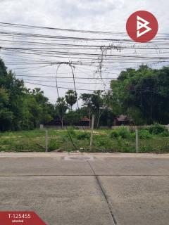 ขายที่ดิน เนื้อที่ 3 งาน 21 ตร.วา ชะอำ เพชรบุรี-202510291653371761731617694.jpg