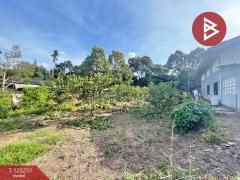 ขายด่วนที่ดินแปลงสวย เนื้อที่ 1 งาน คลองนารายณ์ จันทบุรี