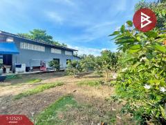 ขายด่วนที่ดินแปลงสวย เนื้อที่ 1 งาน คลองนารายณ์ จันทบุรี-202510291726051761733565852.jpg