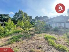 ขายด่วนที่ดินแปลงสวย เนื้อที่ 1 งาน คลองนารายณ์ จันทบุรี-202510291726081761733568477.jpg