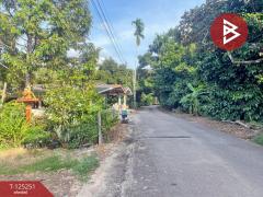 ขายด่วนที่ดินแปลงสวย เนื้อที่ 1 งาน คลองนารายณ์ จันทบุรี-202510291726091761733569104.jpg