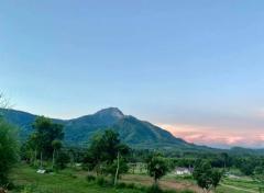 ขายด่วนที่ดิน เนื้อที่ 15 ไร่ 2 งาน 29.4 ตารางวา ด้านหลังมีลำธารเล็ก  ตำบลช้างกลาง อำเภอช้างกลาง จังหวัดนครศรีธรรมราช