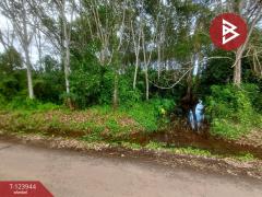 ขายที่ดิน เนื้อที่ 1 ไร่ 3 งาน 90.7 ตร.วา บางกะจะ จันทบุรี-202510300854261761789266873.jpg