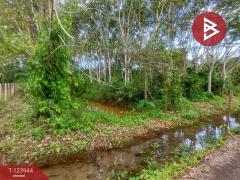 ขายที่ดิน เนื้อที่ 1 ไร่ 3 งาน 90.7 ตร.วา บางกะจะ จันทบุรี-202510300854271761789267430.jpg