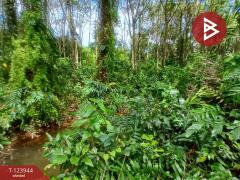 ขายที่ดิน เนื้อที่ 1 ไร่ 3 งาน 90.7 ตร.วา บางกะจะ จันทบุรี-202510300854281761789268020.jpg