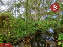 ขายที่ดิน เนื้อที่ 1 ไร่ 3 งาน 90.7 ตร.วา บางกะจะ จันทบุรี-202510300854281761789268587.jpg