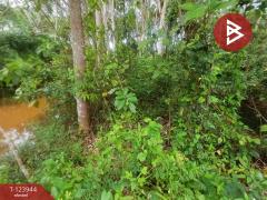 ขายที่ดิน เนื้อที่ 1 ไร่ 3 งาน 90.7 ตร.วา บางกะจะ จันทบุรี-202510300854291761789269242.jpg