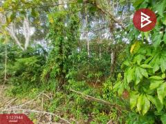 ขายที่ดิน เนื้อที่ 1 ไร่ 3 งาน 90.7 ตร.วา บางกะจะ จันทบุรี-202510300854291761789269799.jpg