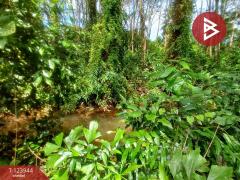 ขายที่ดิน เนื้อที่ 1 ไร่ 3 งาน 90.7 ตร.วา บางกะจะ จันทบุรี-202510300854301761789270343.jpg