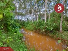 ขายที่ดิน เนื้อที่ 1 ไร่ 3 งาน 90.7 ตร.วา บางกะจะ จันทบุรี-202510300854301761789270933.jpg