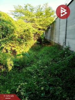 ขายที่ดินแปลงเปล่า เนื้อที่ 3 ไร่ 1 งาน 51 ตร.วา บางแค กรุงเทพมหานคร-202510300927041761791224011.jpg