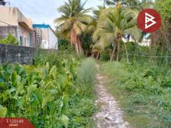 ขายที่ดินแปลงเปล่า เนื้อที่ 3 ไร่ 1 งาน 51 ตร.วา บางแค กรุงเทพมหานคร-202510300927041761791224531.jpg