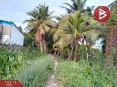 ขายที่ดินแปลงเปล่า เนื้อที่ 3 ไร่ 1 งาน 51 ตร.วา บางแค กรุงเทพมหานคร-202510300927051761791225610.jpg