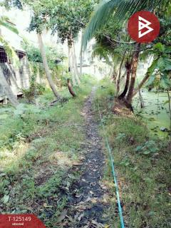 ขายที่ดินแปลงเปล่า เนื้อที่ 3 ไร่ 1 งาน 51 ตร.วา บางแค กรุงเทพมหานคร-202510300927061761791226693.jpg