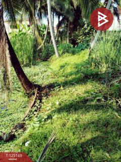 ขายที่ดินแปลงเปล่า เนื้อที่ 3 ไร่ 1 งาน 51 ตร.วา บางแค กรุงเทพมหานคร-202510300927071761791227226.jpg