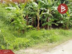 ขายที่ดิน เนื้อที่ 2 ไร่ บางปลา สมุทรปราการ ทำเลดี เหมาะสร้างโรงงาน หรือบ้านพักคนงาน-202510300955571761792957376.jpg