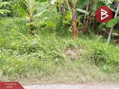 ขายที่ดิน เนื้อที่ 2 ไร่ บางปลา สมุทรปราการ ทำเลดี เหมาะสร้างโรงงาน หรือบ้านพักคนงาน-202510300955581761792958336.jpg