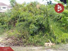 ขายที่ดิน เนื้อที่ 2 ไร่ บางปลา สมุทรปราการ ทำเลดี เหมาะสร้างโรงงาน หรือบ้านพักคนงาน-202510300955581761792958877.jpg