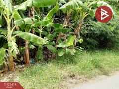 ขายที่ดิน เนื้อที่ 2 ไร่ บางปลา สมุทรปราการ ทำเลดี เหมาะสร้างโรงงาน หรือบ้านพักคนงาน-202510300955591761792959429.jpg