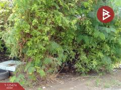 ขายที่ดิน เนื้อที่ 2 ไร่ บางปลา สมุทรปราการ ทำเลดี เหมาะสร้างโรงงาน หรือบ้านพักคนงาน-202510300955591761792959970.jpg