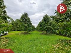  ขายที่ดิน เนื้อที่ 2 ไร่ มะขาม จันทบุรี-202510301015521761794152043.jpg